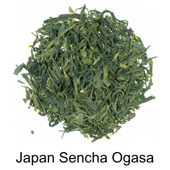 japan-sencha-ogasa